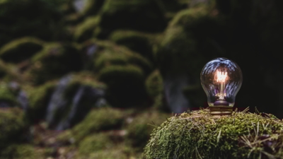 Lit light bulb on a moss-covered rock in a forest setting.