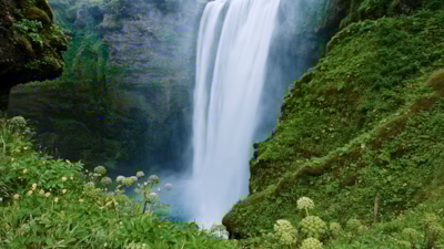 Large waterfall surrounded by lush greenery, flowing into a misty pool.