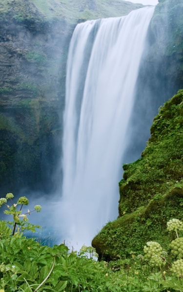 Stor foss omgitt av frodig vegetasjon, som renner ned i en tåkete dam.